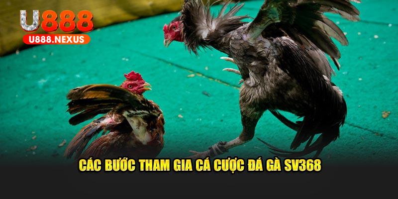 Các bước tham gia cá cược đá gà SV368 tại hệ thống