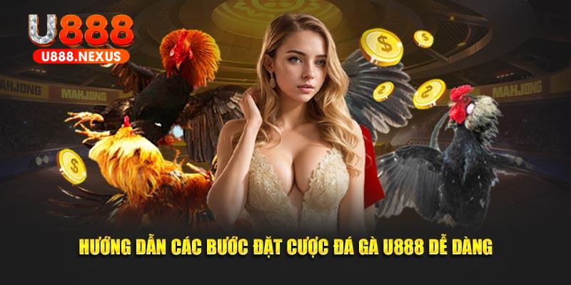 Hướng dẫn các bước đặt cược đá gà U888 dễ dàng