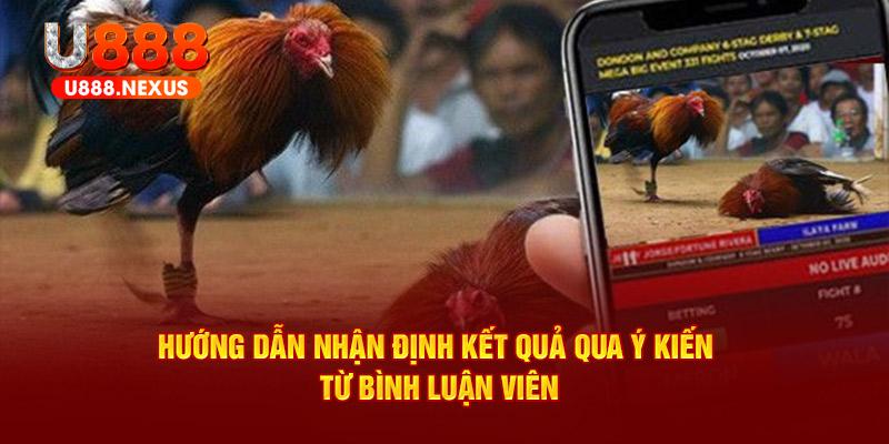 Hướng dẫn nhận định kết quả qua ý kiến từ bình luận viên 